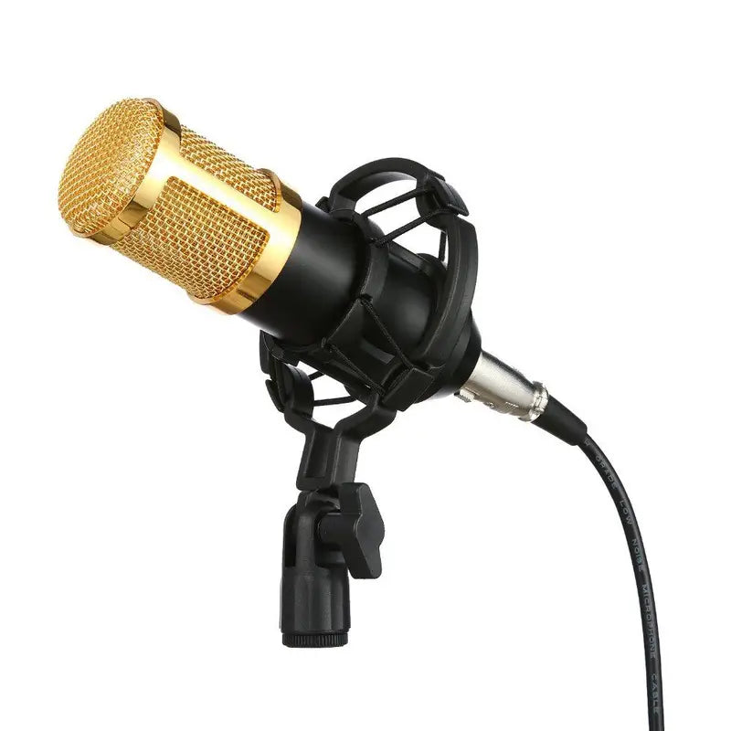 BM800+V8 Condenser Microphone Metal Body
